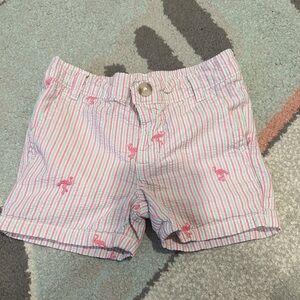 Baby boys flamingo shorts